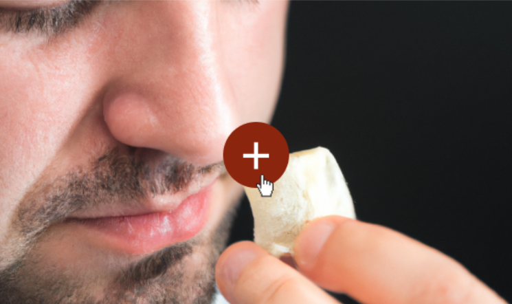 cata de queso zamorano